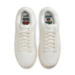 Nike Dunk Low ‘The Future is Equal’