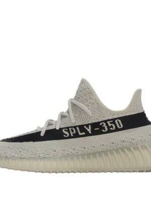 Adidas Yeezy Boost 350 V2 ‘Slate’
